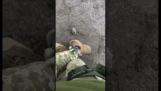 Ukrainian Soldier 🇺🇦 and bird 🐦