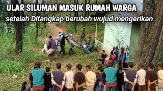 akhirnya Ditangkap warga ramai ramai ular siluman berubah wujud nyata mengerikan