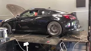 340 WHP Genesis Coupe 3.8 N/A VS Scatpack 392 vs Camaro SS 5TH Gen
