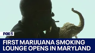 First marijuana smoking lounge opens in Maryland