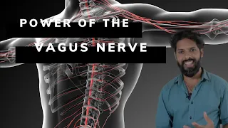 7 ways to stimulate the power of the vagus nerve