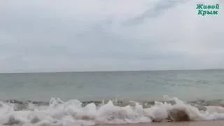Релаксирующая волна на ракушечном пляже Арабатской стрелки