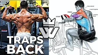 11 Exercises for Monster Traps & Back Workout