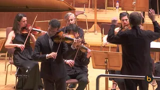 Bach Violin Concerto in E major BWV 1042 | Svetlin Roussev