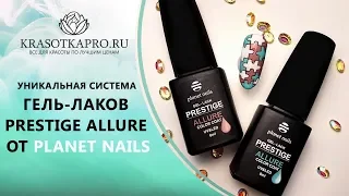 Уникальная система гель-лаков Prestige Allure от Planet Nails. Выставка «Невские берега» 2018