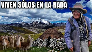 Así es la VIDA de los PASTORES en las MONTAÑAS más Altas del Perú