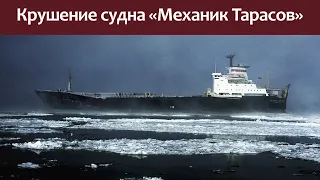 Кораблекрушение грузового судна Механик Тарасов