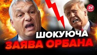 Orban came out with a declaration of war. Trump nearly fainted when he heard it