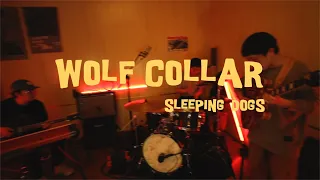 Sleeping Dogs - Wolf Collar