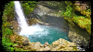 SECRETS of New Zealand's Fiordland National Park 🇳🇿 Falls Creek