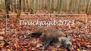 Drückjagd 2023, Wild boar driven hunt 2023.