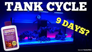 Tank cycle in 9 days?  (Dr Tims day by day results)