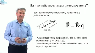 Лекция №1.1. Электрическое поле в вакууме.