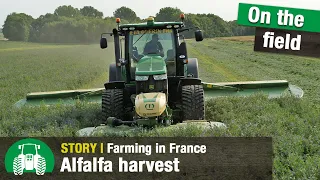 Alfalfa harvesting in France | Krone forage harvesting | Agriculture | BiG X | EasyCut | Tractors