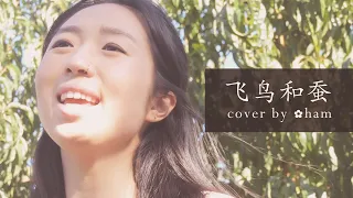 (Original MV+Eng Subs)「飞鸟和蝉」 cover by ✿ham - The Bird and Cicada by 任然 Ren Ran