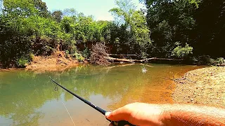 AMAZING? AWESOME? MAYBE?   CLEAR Water CREEK Fishing