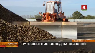 ПУТЕШЕСТВИЕ ВСЛЕД ЗА СВЕКЛОЙ