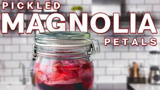 Pickled Magnolia Recipe - My way to preserve Magnolia Petals