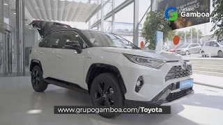 Toyota RAV 4 // Todo lo que debes saber