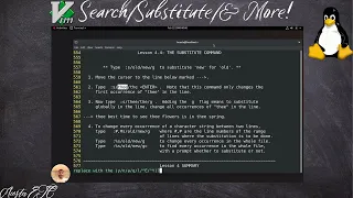 Mastering Vim: Copying, Pasting, Searching, Replacing, and Customizing with .vimrc | Lesson 4