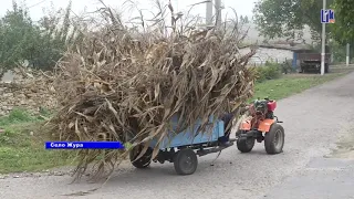 Пять причин посетить село Жура Рыбницкого района