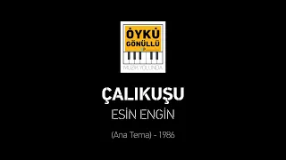 ESİN ENGİN - ÇALIKUŞU (ANA TEMA) - 1986