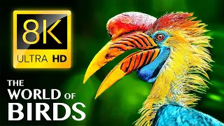 The World of BIRDS in 4K | The Healing Power Of Bird Sounds | Scenic Relaxation Film | Life Of Birds