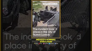 Mexico investigates troops over video of 'execution' of five men | WION Shorts