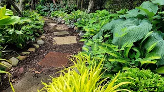 Hostas, Heucheras & Pulmonarias for Shade in my Woodland Garden 🌿🌳🌿// Suburban Oasis