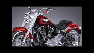 8 New AFFORDABLE and Amazing Harley  Davidson Motorcycles (2023)
