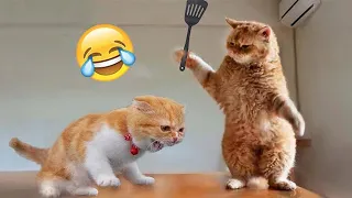 You Laugh, You Lose 😂 | Funniest Animals video 😺🐶 Part 6 | XO ANIMALS