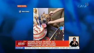 Asong agaw-eksena sa birthday ng kapwa aso, kinaaliwan ng netizens | UB