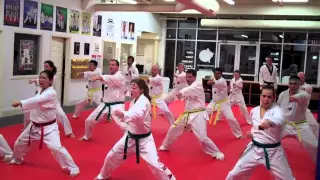 Master Moon's World Class Tae Kwon Do - Adult Class