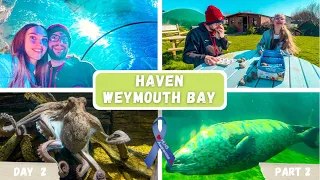 ROCK PAINTING AND SEALIFE CENTRE WEYMOUTH | DAY 2 PART 2 | HAVEN WEYMOUTH BAY HOLIDAY | HLHS