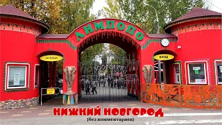 Зоопарк "Лимпопо" в Нижнем Новгороде (без комментариев)