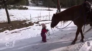 Emma and Cinnamon   Little Girl and Horse Are Best Friends-TouTov