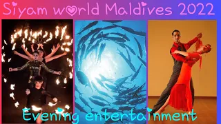 Evening Entertainment at Siyam World Maldives, Fire Show, Dolphins Chasing Fish, Tango Dancing!