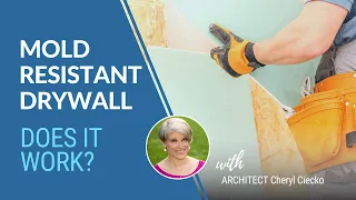 Does Mold Resistant Drywall Work? EPISODE 11