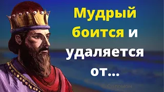 Сильные высказывания Соломона. Цитаты, афоризмы и гениальные слова