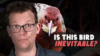 Did This Bird Really Re-Evolve?