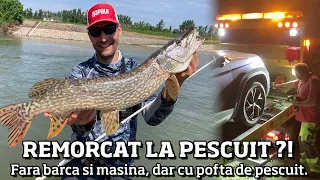 REMORCAT la PESCUIT? RAMAS fara BARCA si MASINA, am facut un SUPER PESCUIT pe RAU de pe MAL!