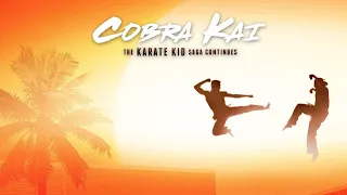 Cobra Kai: Seasons 1&2 Review