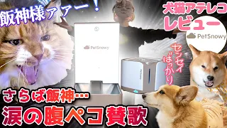 【犬猫アテレコPR】QOL爆あがり！猫の自動給餌機&給水機!!【ペットスノーイー】