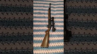 Что может Кросман 2100 на 25-56 метров ??? Crosman 2100 удивляет