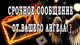 Таро СРОЧНОЕ СООБЩЕНИЕ ОТ ВАШЕГО АНГЕЛА!👼  Что он хочет сказать Вам прям сейчас? Гадание онлайн