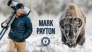 In Conversation with Mark Payton | Wildlife Photographer #wildlife #photography #nature