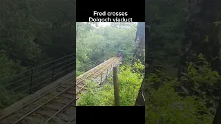 Fred crosses Dolgoch viaduct #talyllyn #thomasandfriends #fred fred