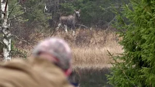 Hunting moose with Kristoffer Clausen, S.1 Episode 3.