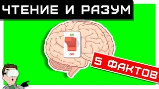 ЧТЕНИЕ и РАЗУМ: влияние литературы на мозг. Все ФАКТЫ! 🧠