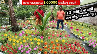 മാസ വരുമാനം1,000,00 ത്തിനു മേൽ|170 different varieties of portulaca|Eva table rose garden Alappuzha